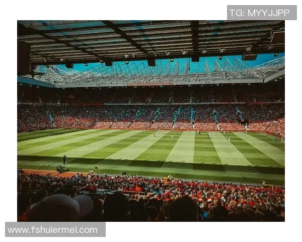 马内：从非洲草原到欧洲绿茵场的传奇旅程与辉煌成就